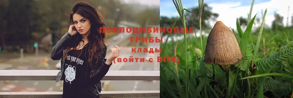 гидра Абинск