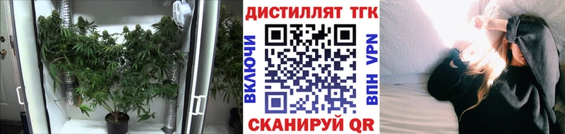 Дистиллят ТГК THC oil  Яхрома 