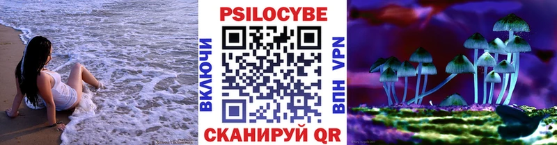 Галлюциногенные грибы Psilocybine cubensis  купить   Яхрома 